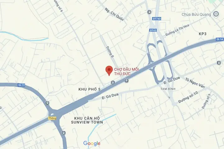 Hướng Dẫn Tìm Vị Trí Và Đường Đi Đến Chợ Thủ Đức Trên Google Maps