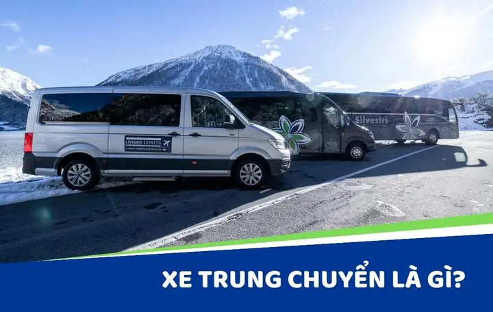 Trung Chuyển Hay Chung Chuyển: Từ Nào Mới Là Chính Xác?