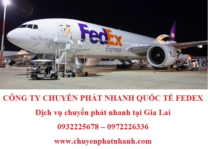 Tổng Hợp Dịch Vụ Chuyển Phát Nhanh Gia Lai Uy Tín Và Địa Chỉ Bưu Cục Gần Nhất Tổng Hợp Dịch Vụ Chuyển Phát Nhanh Gia Lai Uy Tín Và Địa Chỉ Bưu Cục Gần Nhất