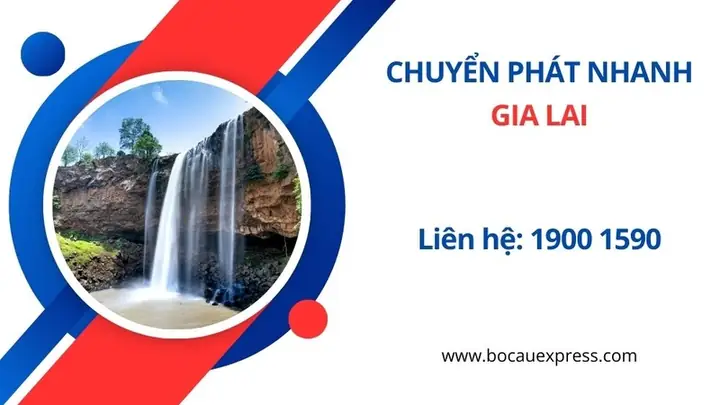 Tổng Hợp Dịch Vụ Chuyển Phát Nhanh Gia Lai Uy Tín Và Địa Chỉ Bưu Cục Gần Nhất Tổng Hợp Dịch Vụ Chuyển Phát Nhanh Gia Lai Uy Tín Và Địa Chỉ Bưu Cục Gần Nhất