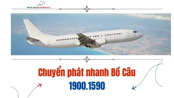 Danh Sách Các Dịch Vụ Chuyển Phát Nhanh Uy Tín Tại Quảng Trị