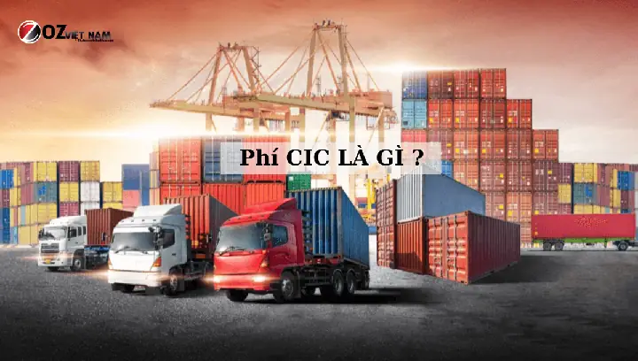 Phí Cic Là Gì? Giải Thích Chi Tiết Về Phụ Phí Mất Cân Bằng Container Trong Xuất Nhập Khẩu