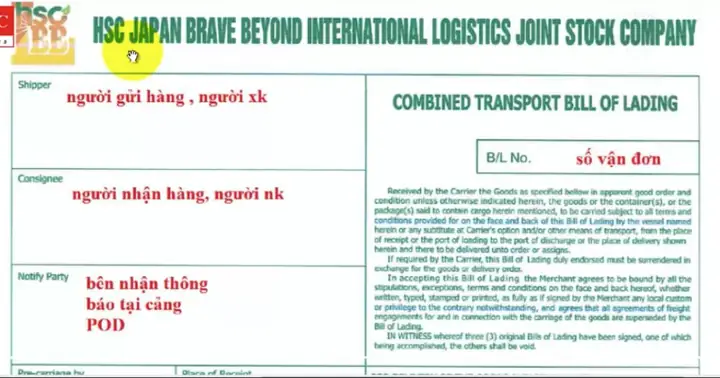 Bill Là Gì Và Các Loại Vận Đơn (bill Of Lading) Phổ Biến Trong Xuất Nhập Khẩu Bill Là Gì Và Các Loại Vận Đơn (bill Of Lading) Phổ Biến Trong Xuất Nhập Khẩu