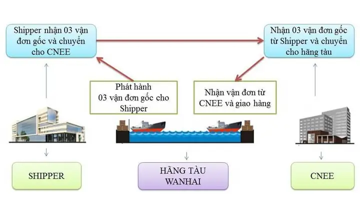 Bill Là Gì Và Các Loại Vận Đơn (bill Of Lading) Phổ Biến Trong Xuất Nhập Khẩu Bill Là Gì Và Các Loại Vận Đơn (bill Of Lading) Phổ Biến Trong Xuất Nhập Khẩu