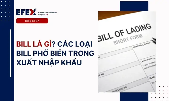 Bill Là Gì Và Các Loại Vận Đơn (bill Of Lading) Phổ Biến Trong Xuất Nhập Khẩu Bill Là Gì Và Các Loại Vận Đơn (bill Of Lading) Phổ Biến Trong Xuất Nhập Khẩu