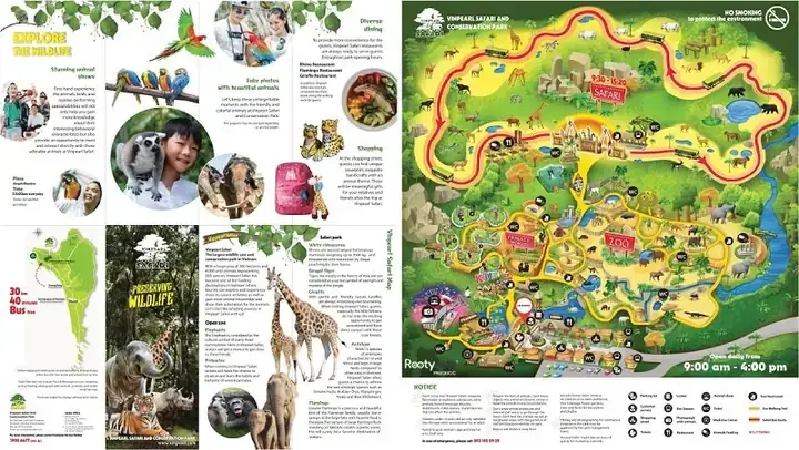 Có Nên Đi Safari Phú Quốc? Hướng Dẫn Chi Tiết Cho Du Khách Lần Đầu Có Nên Đi Safari Phú Quốc? Hướng Dẫn Chi Tiết Cho Du Khách Lần Đầu