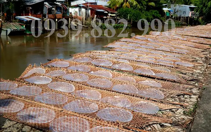 Cơ Sở Sản Xuất Bánh Tráng Tây Ninh: Địa Chỉ, Quy Mô Và Cách Tham Quan Cơ Sở Sản Xuất Bánh Tráng Tây Ninh: Địa Chỉ, Quy Mô Và Cách Tham Quan