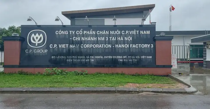 Tổng Quan Về Công Ty Cổ Phần Chăn Nuôi C.p. Việt Nam: Lĩnh Vực Hoạt Động Và Quy Mô Tổng Quan Về Công Ty Cổ Phần Chăn Nuôi C.p. Việt Nam: Lĩnh Vực Hoạt Động Và Quy Mô