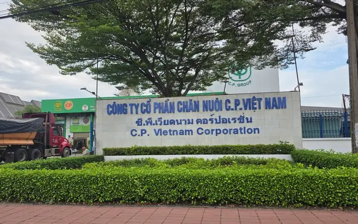 Tổng Quan Về Công Ty Cổ Phần Chăn Nuôi C.p. Việt Nam: Lĩnh Vực Hoạt Động Và Quy Mô Tổng Quan Về Công Ty Cổ Phần Chăn Nuôi C.p. Việt Nam: Lĩnh Vực Hoạt Động Và Quy Mô