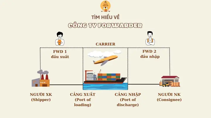 Công Ty Forwarder Là Gì? Vai Trò Và Quy Trình Hoạt Động Trong Logistics Công Ty Forwarder Là Gì? Vai Trò Và Quy Trình Hoạt Động Trong Logistics