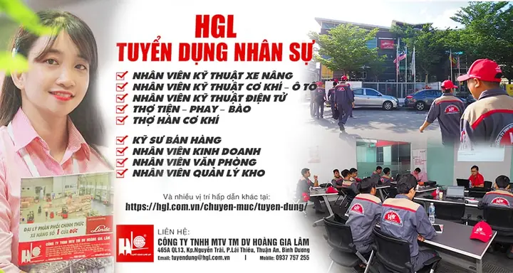 Tổng Quan Thông Tin Và Dịch Vụ Tại Công Ty Tnhh Mtv Tm Dv Hoàng Gia Lâm (hgl)