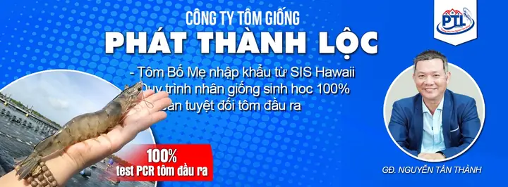 Tổng Hợp Thông Tin Về Công Ty Tnhh O.p.s: Hồ Sơ Doanh Nghiệp Và Lĩnh Vực Hoạt Động Tổng Hợp Thông Tin Về Công Ty Tnhh O.p.s: Hồ Sơ Doanh Nghiệp Và Lĩnh Vực Hoạt Động