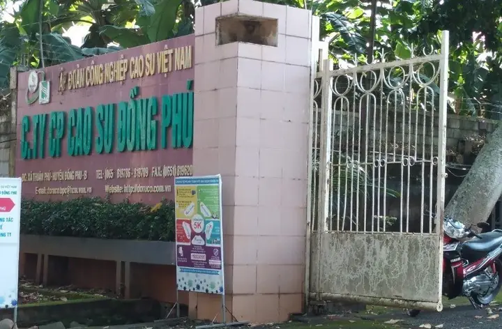 Công Ty Cổ Phần Cao Su Đồng Phú (dpr): Thông Tin Doanh Nghiệp Và Cập Nhật Cổ Phiếu Mới Nhất Công Ty Cổ Phần Cao Su Đồng Phú (dpr): Thông Tin Doanh Nghiệp Và Cập Nhật Cổ Phiếu Mới Nhất