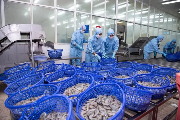 Ctcp Thực Phẩm Sao Ta (fmc): Thông Tin Tổng Quan Doanh Nghiệp Và Cập Nhật Cổ Phiếu Ctcp Thực Phẩm Sao Ta (fmc): Thông Tin Tổng Quan Doanh Nghiệp Và Cập Nhật Cổ Phiếu