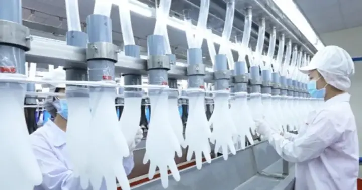 Thông Tin Tổng Quan Về Công Ty Tnhh Quốc Tế Kim Bảo Sơn Việt Nam Thông Tin Tổng Quan Về Công Ty Tnhh Quốc Tế Kim Bảo Sơn Việt Nam