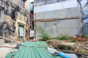 Củ Ấu Tẩu: Công Dụng, Cách Dùng An Toàn Và Cảnh Báo Ngộ Độc Nguy Hiểm Củ Ấu Tẩu: Công Dụng, Cách Dùng An Toàn Và Cảnh Báo Ngộ Độc Nguy Hiểm