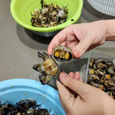 Giá Cua Đồng Hôm Nay Bao Nhiêu 1kg? Cập Nhật Mới Nhất Giá Cua Đồng Hôm Nay Bao Nhiêu 1kg? Cập Nhật Mới Nhất
