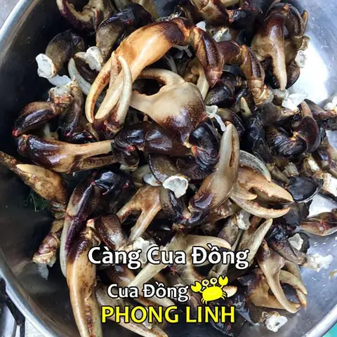 Giá Cua Đồng Hôm Nay Bao Nhiêu 1kg? Cập Nhật Mới Nhất Giá Cua Đồng Hôm Nay Bao Nhiêu 1kg? Cập Nhật Mới Nhất
