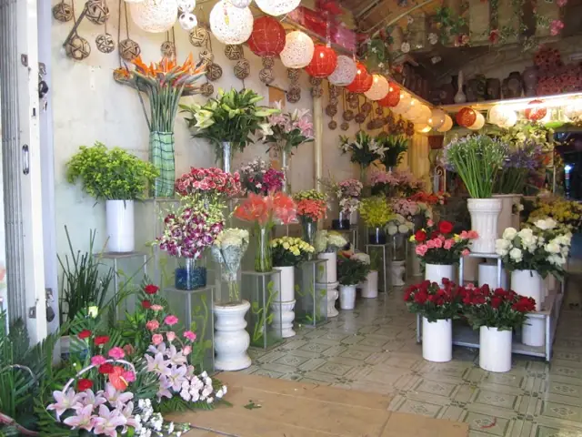 Cửa Hàng Hoa Giáo: Thông Tin Địa Chỉ, Sản Phẩm Và Dịch Vụ Cần Biết Cửa Hàng Hoa Giáo: Thông Tin Địa Chỉ, Sản Phẩm Và Dịch Vụ Cần Biết