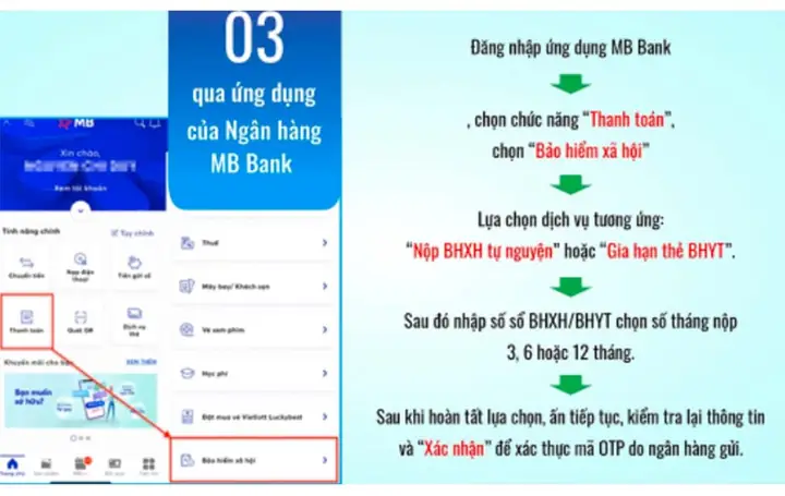 Đăng Ký Bảo Hiểm Xã Hội Ở Đâu? Hướng Dẫn Thủ Tục Trực Tiếp Và Trực Tuyến Mới Nhất