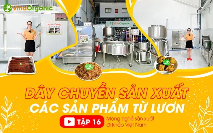 Dây Chuyền Hồ Chí Minh