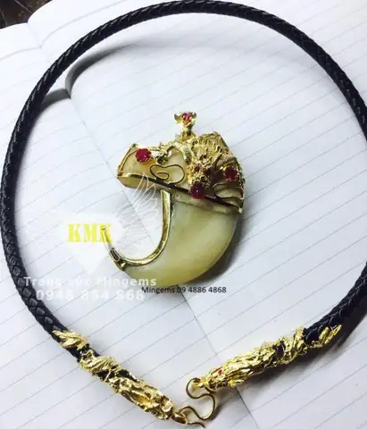 Mọi Điều Cần Biết Về Dây Chuyền Móng Cọp: Loại, Chất Liệu, Giá Và Cách Chọn Mọi Điều Cần Biết Về Dây Chuyền Móng Cọp: Loại, Chất Liệu, Giá Và Cách Chọn