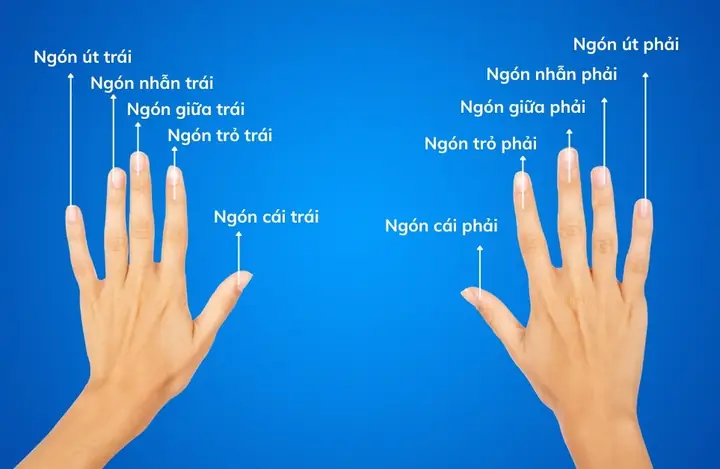 Đeo Nhẫn Phong Thủy Cho Nữ