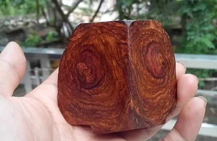 Vòng Tay Gỗ Sưa Có Tác Dụng Gì? Công Dụng, Hợp Mệnh Và Cách Chọn Cho Người Mới Bắt Đầu