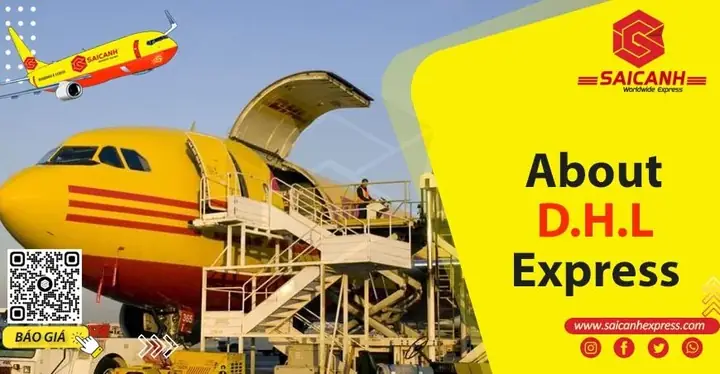 Dhl Của Nước Nào? Tìm Hiểu Nguồn Gốc Và Quy Mô Thương Hiệu Logistics Toàn Cầu Dhl Của Nước Nào? Tìm Hiểu Nguồn Gốc Và Quy Mô Thương Hiệu Logistics Toàn Cầu
