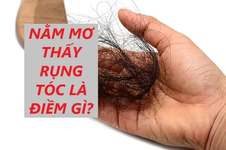 Điềm Báo Giấc Mơ Thấy Tóc Rụng Điềm Báo Giấc Mơ Thấy Tóc Rụng