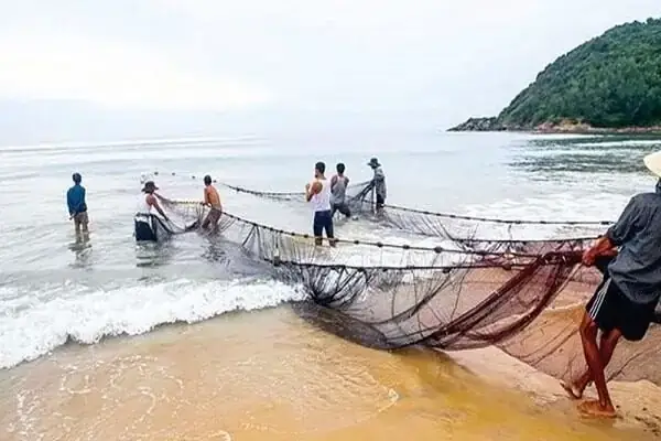 Giải Mã Điềm Báo Mơ Thấy Kéo Lưới Bắt Cá: Ý Nghĩa & Con Số May Mắn