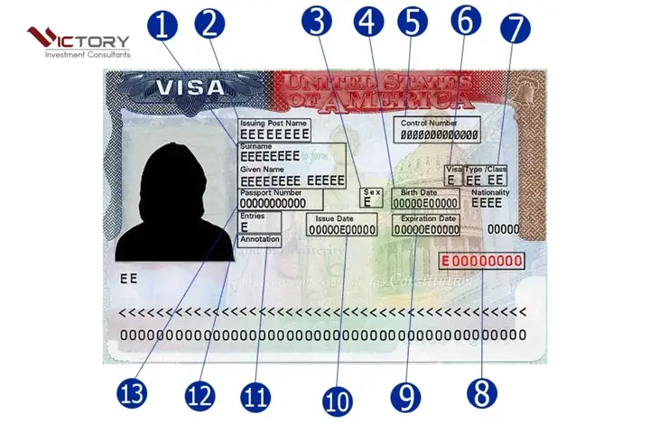 Document Number Là Gì? Hướng Dẫn Cách Điền Thông Tin Chính Xác Trên Các Loại Giấy Tờ