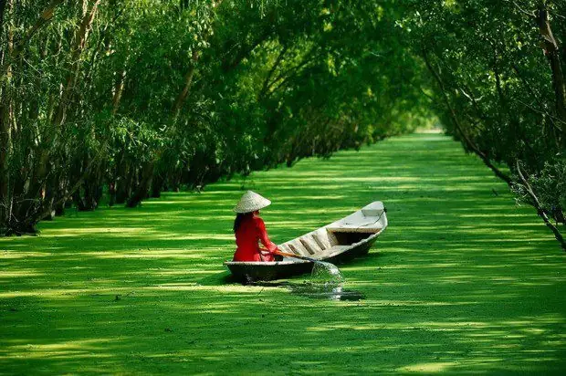 Hướng Dẫn Du Lịch Miệt Vườn Vĩnh Long: Khám Phá Vườn Trái Cây, Homestay Và Trải Nghiệm Sinh Thái Hướng Dẫn Du Lịch Miệt Vườn Vĩnh Long: Khám Phá Vườn Trái Cây, Homestay Và Trải Nghiệm Sinh Thái