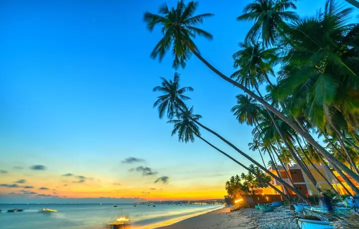 Du Lịch Phan Thiết Tự Túc: Hướng Dẫn Chi Tiết Điểm Đến, Ẩm Thực, Lịch Trình & Chi Phí Cho Người Mới