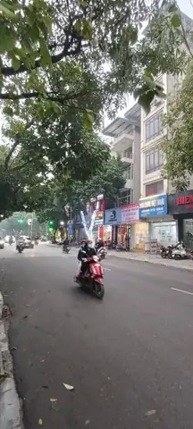 Phố Dương Quảng Hàm, Quận Cầu Giấy: Vị Trí, Quy Hoạch Và Thông Tin Khu Vực Phố Dương Quảng Hàm, Quận Cầu Giấy: Vị Trí, Quy Hoạch Và Thông Tin Khu Vực