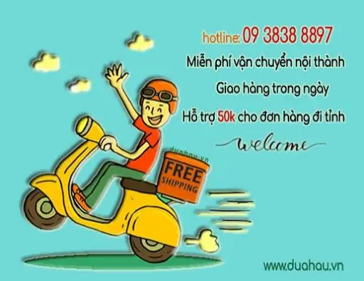 Free Ship Nội Thành Là Gì? Giải Đáp Về Cước Phí Và Cách Áp Dụng Cho Đơn Hàng Free Ship Nội Thành Là Gì? Giải Đáp Về Cước Phí Và Cách Áp Dụng Cho Đơn Hàng