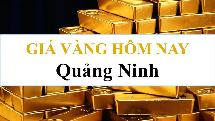 Giá Vàng 10k Hôm Nay Tại Quảng Ninh: Cập Nhật Biến Động Và Địa Chỉ Mua Bán Uy Tín Giá Vàng 10k Hôm Nay Tại Quảng Ninh: Cập Nhật Biến Động Và Địa Chỉ Mua Bán Uy Tín