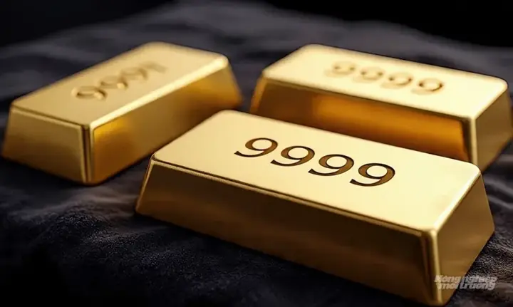 Giá Vàng Trang Sức Hôm Nay Tại Lai Châu: Cập Nhật Chi Tiết Mới Nhất Giá Vàng Trang Sức Hôm Nay Tại Lai Châu: Cập Nhật Chi Tiết Mới Nhất