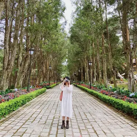 Giá Vé Dinh Bảo Đại 1 Đà Lạt 2026: Giá, Loại Vé Và Giờ Mở Cửa Chi Tiết Giá Vé Dinh Bảo Đại 1 Đà Lạt 2026: Giá, Loại Vé Và Giờ Mở Cửa Chi Tiết
