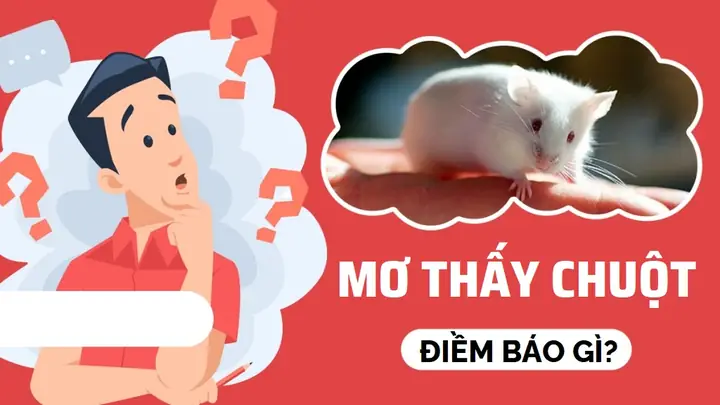 Giải Điềm Báo Giấc Mơ Thấy Chuột Giải Điềm Báo Giấc Mơ Thấy Chuột