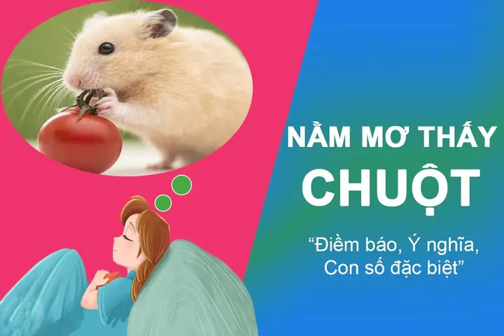 Giải Điềm Báo Giấc Mơ Thấy Chuột Giải Điềm Báo Giấc Mơ Thấy Chuột