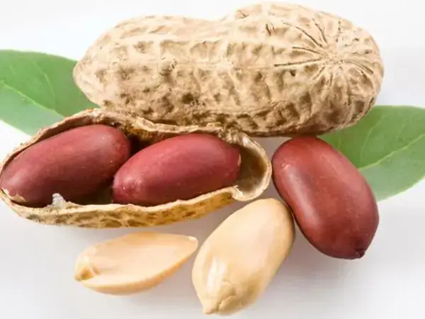 Giải Mã Giấc Mơ Ăn Đậu Phộng: Ý Nghĩa Tài Chính, Sức Khỏe Và Con Số May Mắn Giải Mã Giấc Mơ Ăn Đậu Phộng: Ý Nghĩa Tài Chính, Sức Khỏe Và Con Số May Mắn