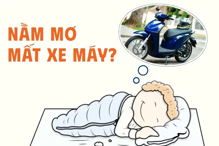 Giải Mã Giấc Mơ Bắt Được Cua Giải Mã Giấc Mơ Bắt Được Cua