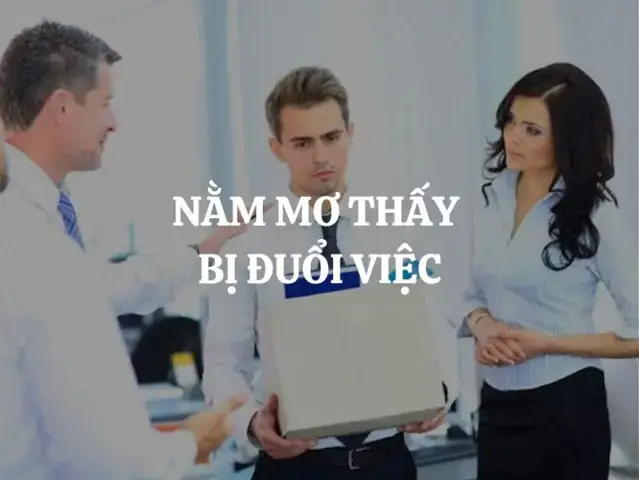Giải Mã Giấc Mơ Bị Đuổi Việc Giải Mã Giấc Mơ Bị Đuổi Việc