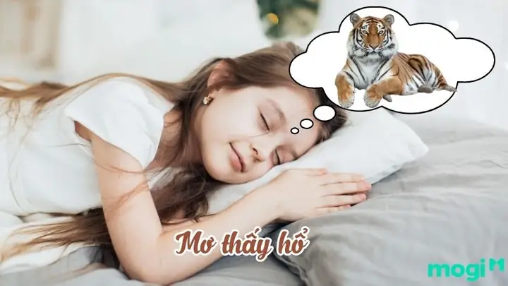 Giải Mã Giấc Mơ Bị Hổ Rượt: Ý Nghĩa, Nguyên Nhân Và Cách Đối Phó
