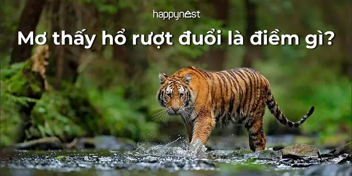 Giải Mã Giấc Mơ Bị Hổ Rượt: Ý Nghĩa, Nguyên Nhân Và Cách Đối Phó