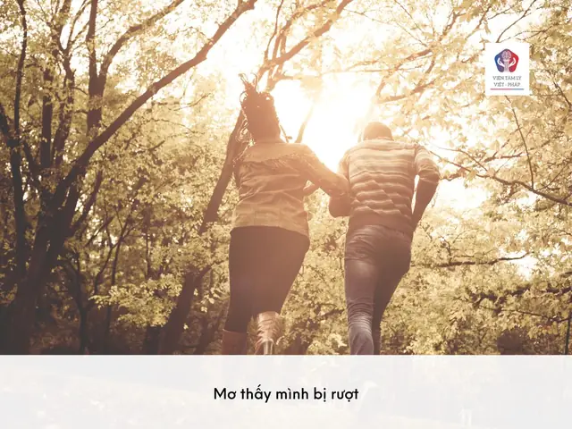 Giải Mã Giấc Mơ Bị Truy Đuổi Giải Mã Giấc Mơ Bị Truy Đuổi