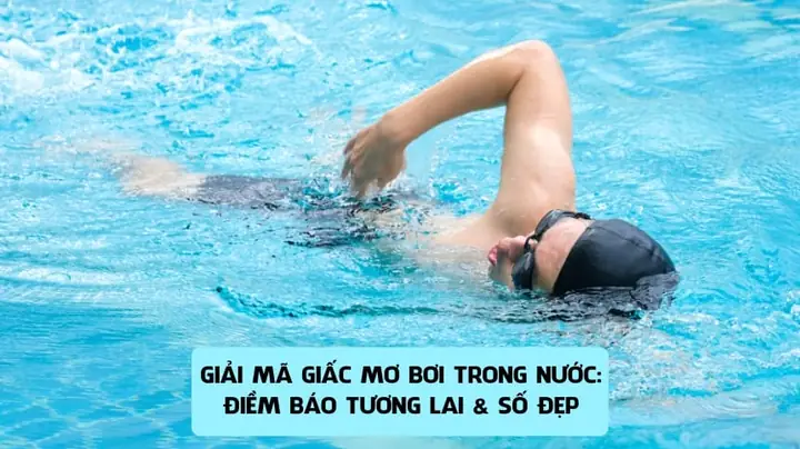 Giải Mã Giấc Mơ Bơi Trong Nước: Ý Nghĩa, Nguyên Nhân Và Cách Hiểu Sâu Sắc
