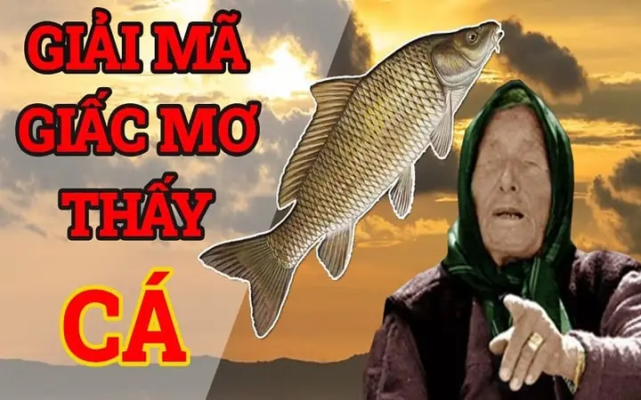 Giải Mã Giấc Mơ Cá Ăn Thịt Người Giải Mã Giấc Mơ Cá Ăn Thịt Người