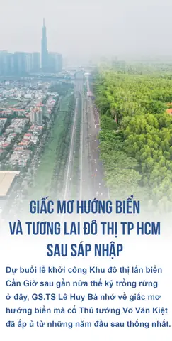 Giải Mã Giấc Mơ Chủ Đề Nai Giải Mã Giấc Mơ Chủ Đề Nai